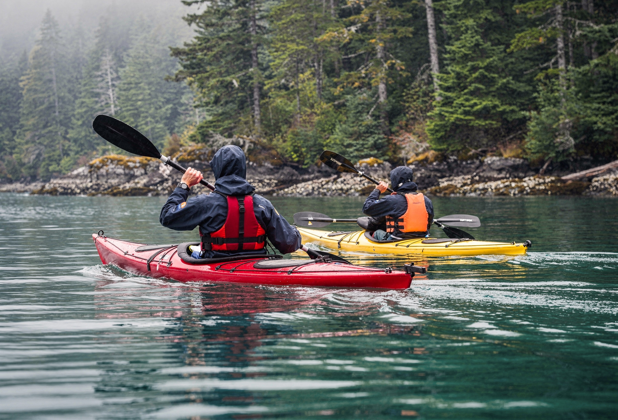 Two sea kayakers paddling calm coastal waters beside a forested Pacific shoreline